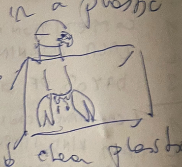 simple pen drawn image of lobster stuck in a plastic holder